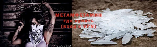 гидра Белокуриха