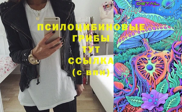 гидра Беломорск