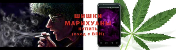 гидра Белокуриха