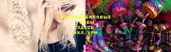 гидра Беломорск
