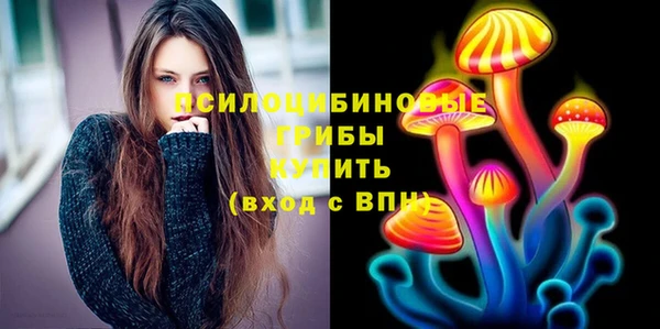 гидра Белокуриха