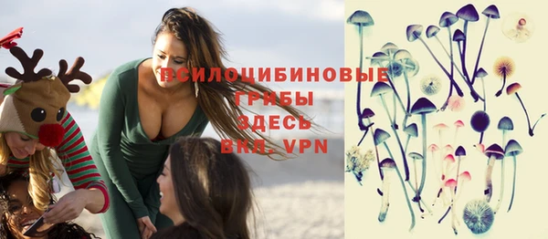 гидра Беломорск