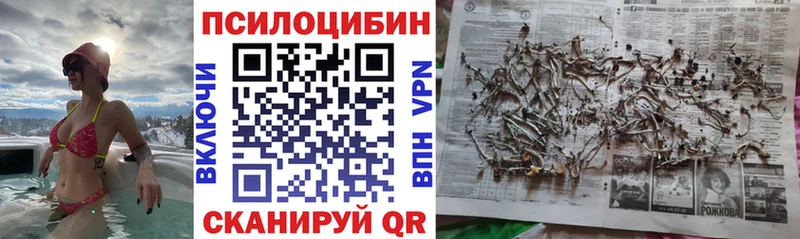 Псилоцибиновые грибы ЛСД  Купить где  Кедровый 